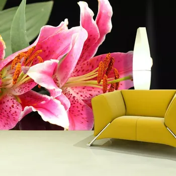 Tapeta Sablio Tapeta Lilie - 208x125 cm