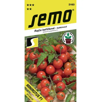 Semeno Rajče keř. - Minirotus F1 40s - série DO NÁDOB
