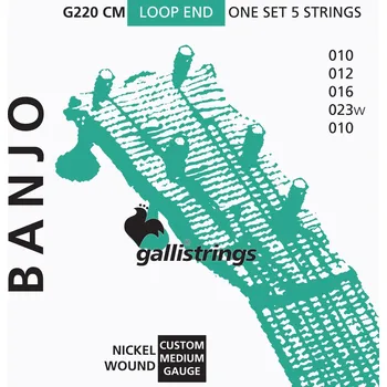 Struna pro kytaru a smyčcový nástroj Galli G220 CM Custom Medium + prodloužená záruka 3 roky
