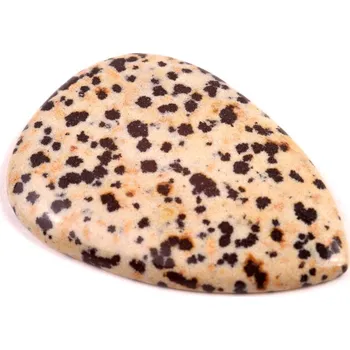 Přírodní kámen Kabošon Dalmatin Jaspis č.7416 (51x36x6mm)