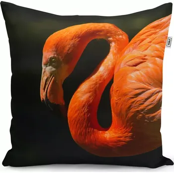 Polštář Sablio Polštář Plameňák - 60x60 cm