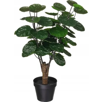 umělá květina IKEA FEJKA Umělá rostlina v květináči, Aralia 50 cm