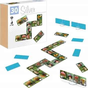 Desková hra Stolní hra Domino Houby Alexander