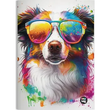 Sešit Karton P+P Sešit A4 444 Pes 558952