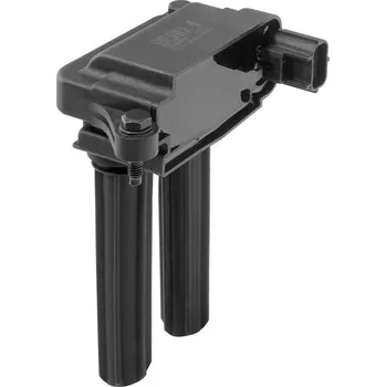 Zapalovací cívka Zapalovací cívka BorgWarner (BERU) ZS607