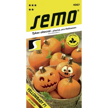 Semeno Tykev plazivá - Yellowbaby F1 (Halloween) (SM 395/18 B) 3g