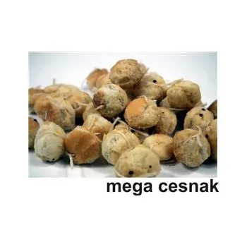 Návnadová surovina Kapří sen FLUO 130 ml 5 mm - Jahoda