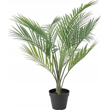 umělá květina Ikea FEJKA Umělá rostlina Palma Areka, 12 cm