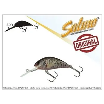 Wobler Hornet H5SDR barva RCR