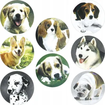 samolepka Samolepky klasické Titanum 500 ks