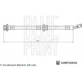 Brzdová hadice Blue Print ADBP530034 Brzdová hadice, flexibilní