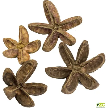 Dekorace - Bullet Flower 2 ks