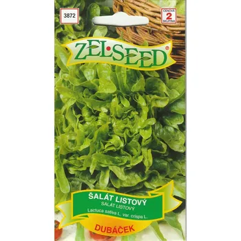 Semeno Salát listový Dubáček 12/2027