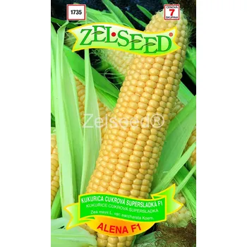 Semeno Kukuřice cukrová Alena F1 (supersladká) 12/2027