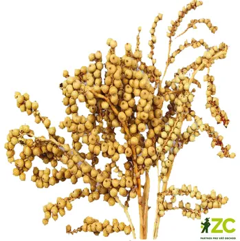 Dekorace - Canella cobs přírodní 250 g