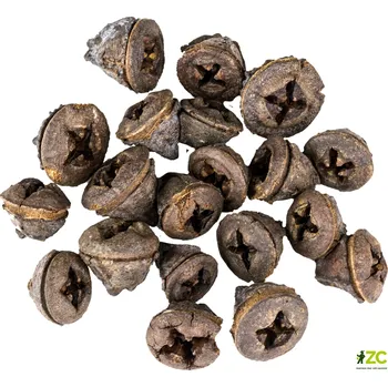 Dekorace - Eucalyptus Pod - 20 ks
