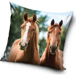 Povlak na polštář s koněm