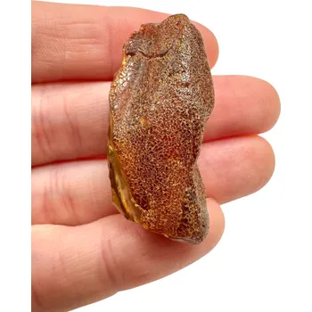 Přírodní kámen Surový jantar 4,6g – Litva