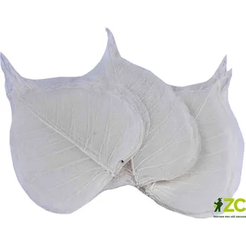 Dekorace - Kostra listu Pepal - bělená 100 ks