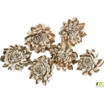 Dekorace - Sola Multi Zinnia 4 cm - 6 ks