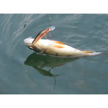 Umělá nástraha Dipované umělé nástrahy U-Shad 101mm / 8ks Dark Violet/Peacock