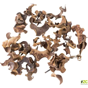 Dekorace - Curly Pod - 15 g