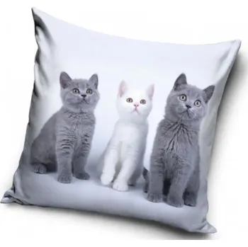 Polštář Povlak na polštář kočka - kočky (2)