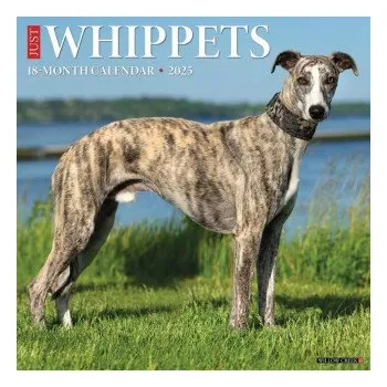 Kalendář Whippets 2026 12 X 12 Wall Calendar (EN)