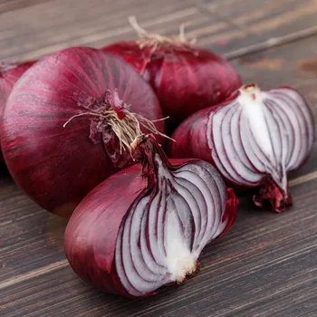 Semeno Cibule červená Braunschweiger - Allium cepa - semena cibule - 250 ks