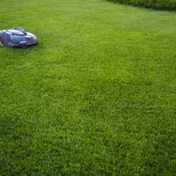 Semeno Trávník Comfort pro robotické sekačky - semena Kiepenkerl - 10 kg