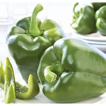 Semeno Paprika Beluga green F1 - Capsicum annuum - semena papriky - 5 ks