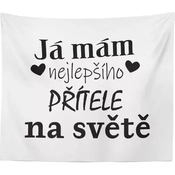 deka Sablio Deka Já mám nejlepšího přítele na světě: 150x120 cm