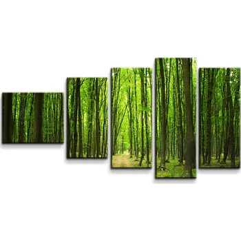 Obraz Sablio Obraz - 5-dílný Cesta v lese - 100x60 cm