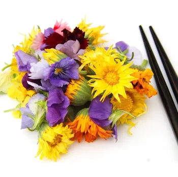 Semeno Jedlá louka - semena Černý Biopro - letničková směs - 20 g