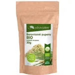 Borovicové pupeny BIO - prášek - bio kvalita - 30 g