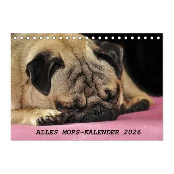 Diář Alles Mops-Kalender 2026 (Tischkalender 2026 DIN A5 quer), CALVENDO Monatskalender: Wunderbare Mopsmotive. DE – Calvendo,Sonja Hofmann (DE)