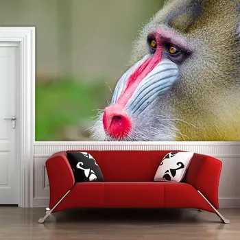 Tapeta Sablio Tapeta Mandril - 125x75 cm