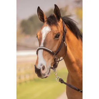 PENELOPE Ohlávka Harmonie Penelope, kožená, havana FULL