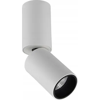 Stropní bodové svítidlo kulatý Italux bílé, černé