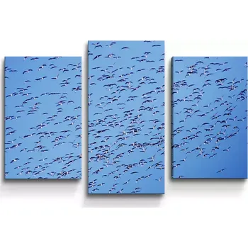 Obraz Sablio Obraz - 3-dílný Hejno ptáků - 75x50 cm