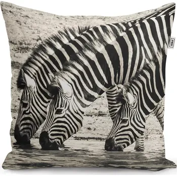 Polštář Sablio Polštář Zebry u vody - 40x40 cm