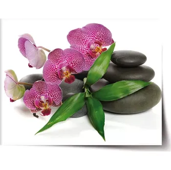 Plakát Sablio Plakát Orchideje a kameny - 90x60 cm