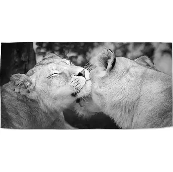 Osuška Sablio Ručník Lvice - 30x50 cm