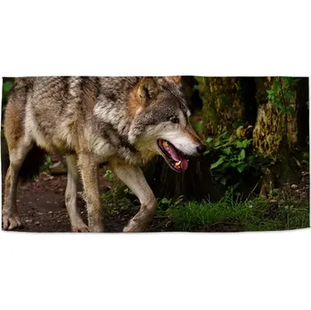 Osuška Sablio Ručník Vlk - 70x140 cm