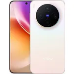 vivo X300