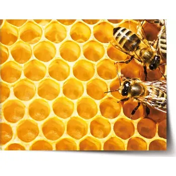 Plakát Sablio Plakát Včely - 90x60 cm