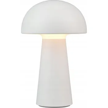 Stojací lampa STOJACÍ ZAHRADNÍ LAMPA TRIO RL LENNON R52176101