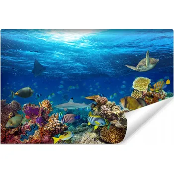 Fototapeta Fototapeta pro teenagery OCEAN korálový útes 90x60