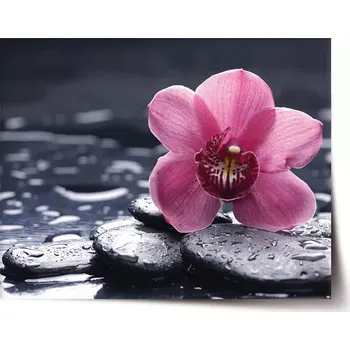 Plakát Sablio Plakát Orchidej - 60x40 cm