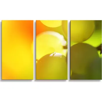 Víno Sablio Obraz - 3-dílný Hroznové víno - 120x80 cm